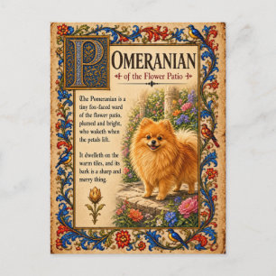 Cartão Postal Pomerânia, Arte Medieval de Bestiário