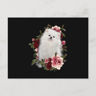 Cartão Postal Pomerânia com Flor