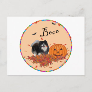 Cartão Postal Pomerânia Preto Halloween