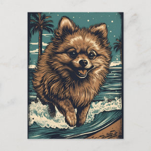 Cartão Postal Pomeraniano na praia