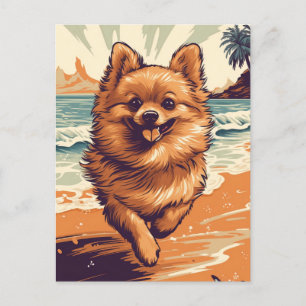 Cartão Postal Pomeraniano na praia