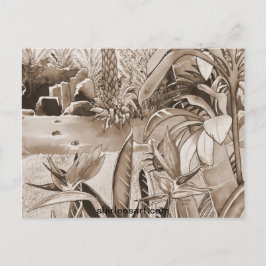 Cartão Postal Pond no plantor de abacaxi