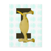 pônei monograma, zazzle sem sombra.png