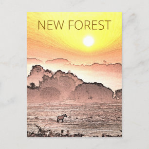 Cartão Postal Pôneo da Nova Floresta no Sol