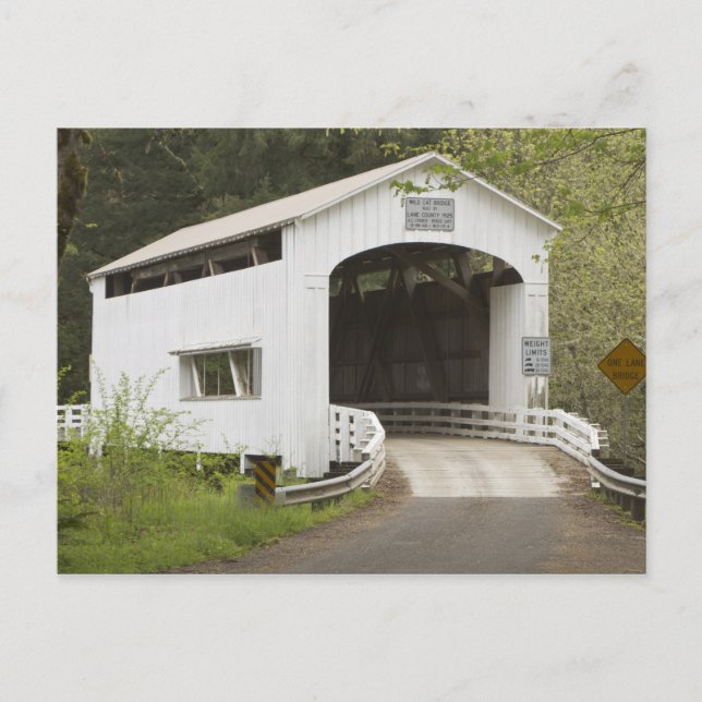 Cartão Postal Ponte coberta por Wild Cat, Lane County, Oregon (Frente)