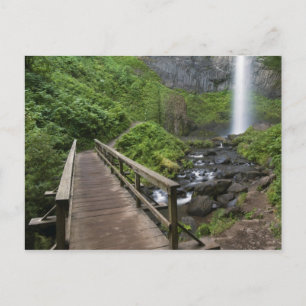 Cartão Postal Ponte em Latourell Falls, Columbia River Gorge,