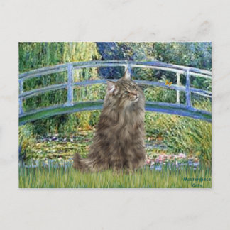 Cartão Postal Ponte - gato Floresta Norueguesa