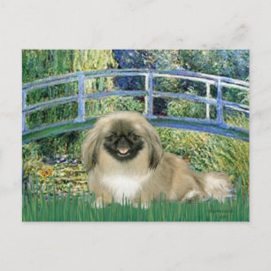 Cartão Postal Ponte - Pekingese 1b