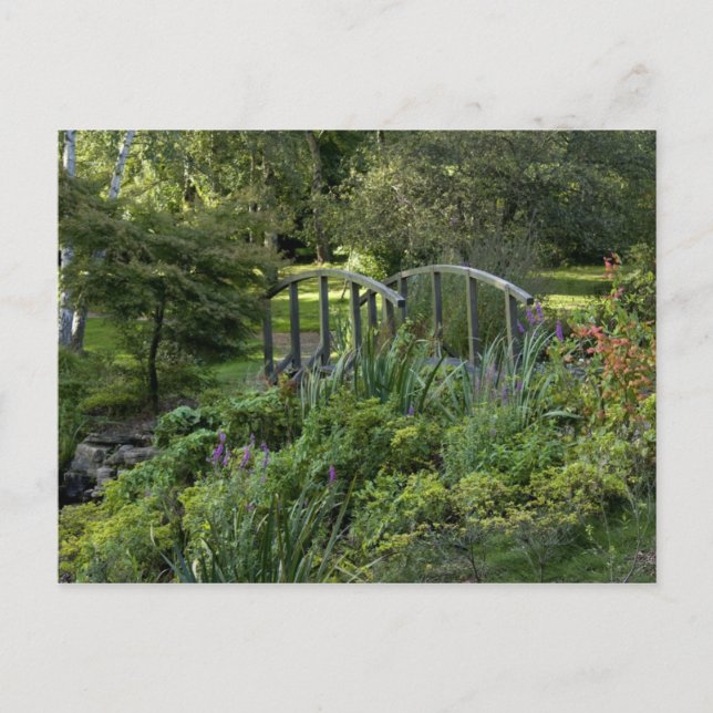 Cartão Postal Ponte pequena de madeira (Frente)