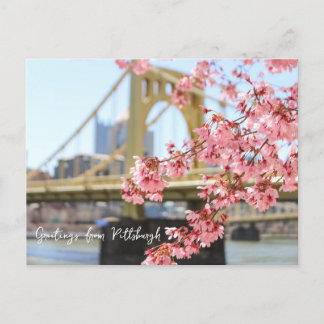 Cartão Postal Ponte Pittsburgh e Flores de Cereja