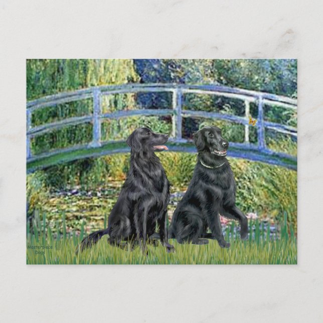 Cartão Postal Ponte - Retriever de Capa Lisa (dois) (Frente)