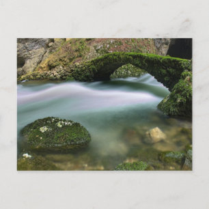 Cartão Postal Ponte sobre água turva