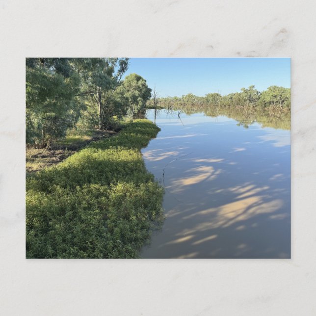 Cartão Postal Ponte terrestre Darby no rio Warrego (Frente)