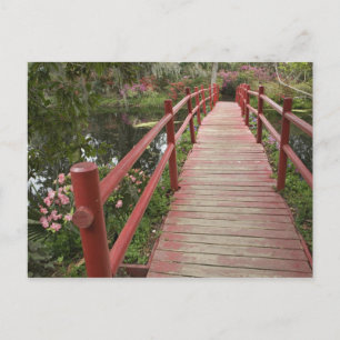 Cartão Postal Ponte vermelha sobre lago, Magnolia Plantation,