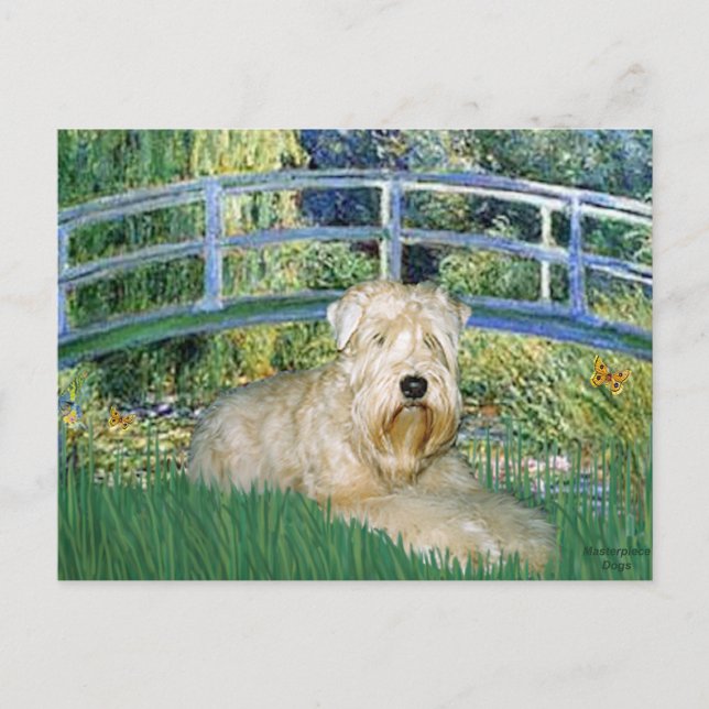 Cartão Postal Ponte-Wheaten Terrier 1 (Frente)