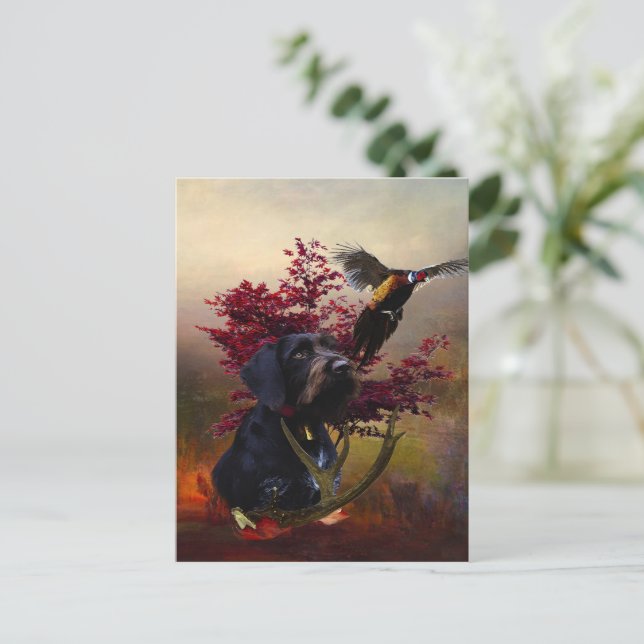 Cartão Postal Ponteiro alemão Wirehaired (Em pé/Frente)