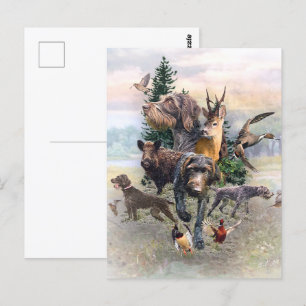 Cartão Postal Ponteiro alemão Wirehaired