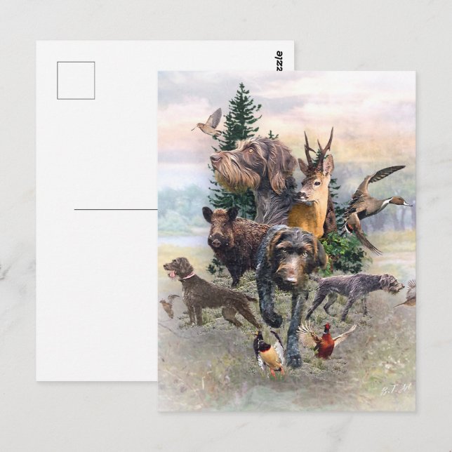 Cartão Postal Ponteiro alemão Wirehaired (Frente/Verso)