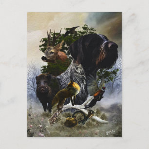 Cartão Postal Ponteiro alemão Wirehaired