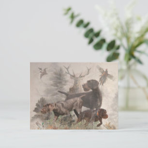 Cartão Postal Ponteiro alemão Wirehaired