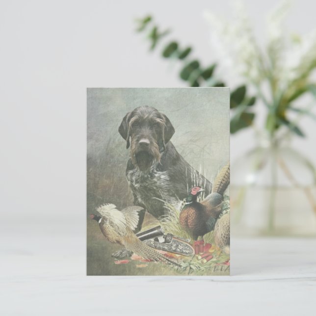 Cartão Postal Ponteiro alemão Wirehaired (Em pé/Frente)