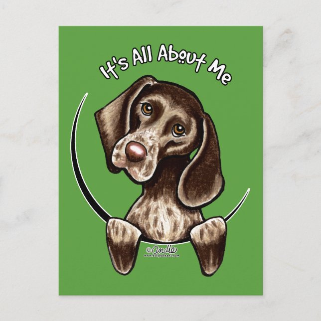 Cartão Postal Ponteiro IAAM (Frente)