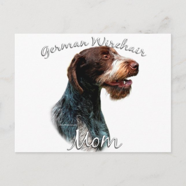 Cartão Postal Ponteiro Wirehaired Alemão Mãe 2 (Frente)