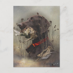 Cartão Postal Ponteiros abreviados alemães