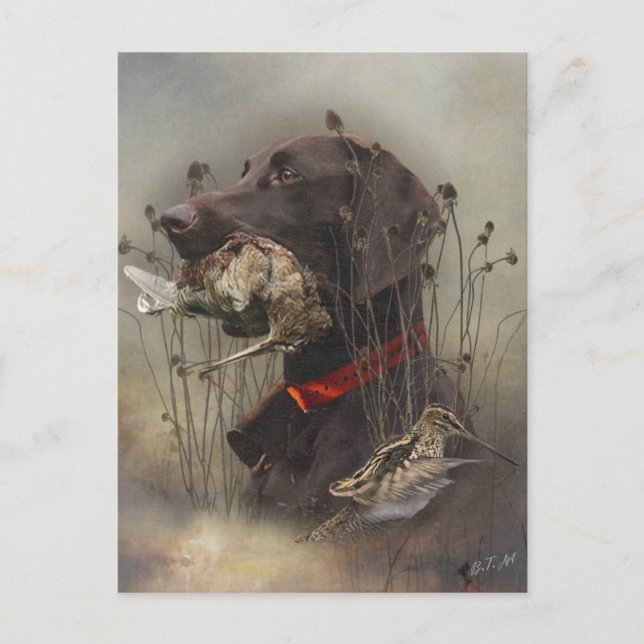 Cartão Postal Ponteiros abreviados alemães (Frente)