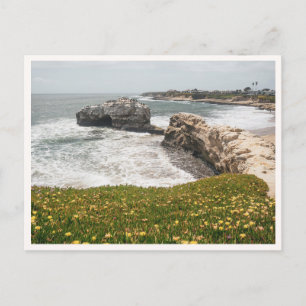 Cartão Postal Pontes Naturais de Santa Cruz California Flores Si