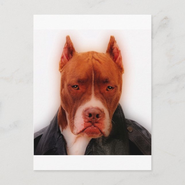 Cartão Postal Ponto de atordoamento (Frente)