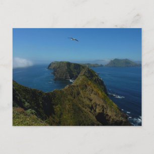 Cartão Postal Ponto de Inspiração I da Anacapa nas Ilhas Anglo