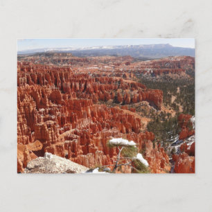 Cartão Postal Ponto de Inspiração no Bryce Canyon I