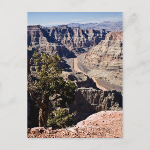 Cartão Postal Ponto do Guano - postcardcopy