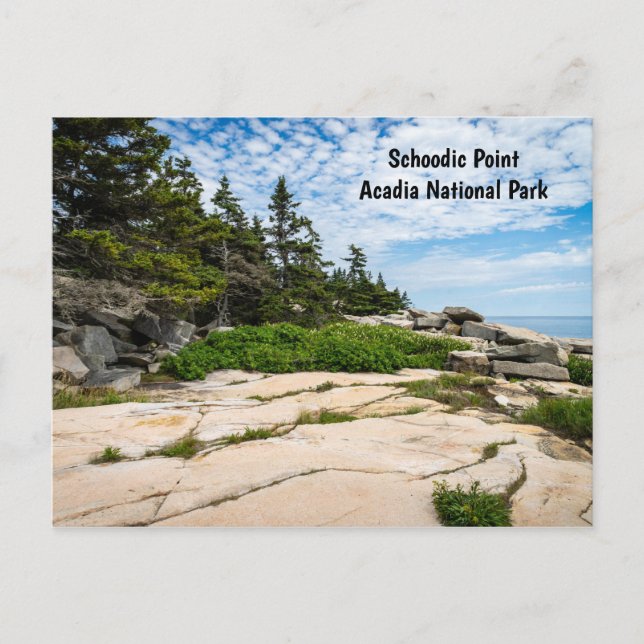 Cartão Postal Ponto Schoódico no Parque Nacional de Acadia em Ma (Frente)