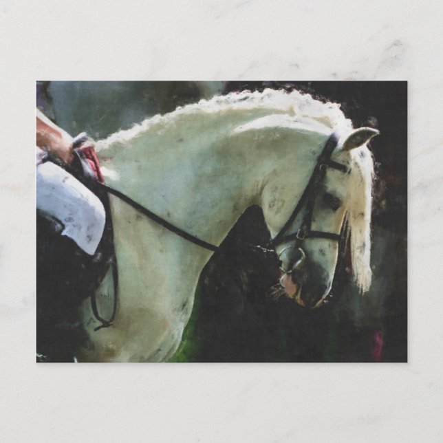 Cartão Postal Pony no show (Frente)