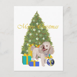 Cartão Postal Poodle