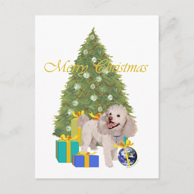 Cartão Postal Poodle (Frente)