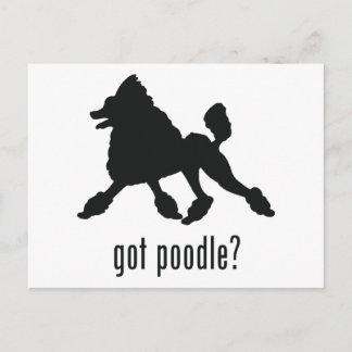 Cartão Postal Poodle
