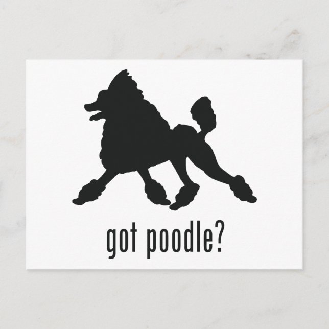 Cartão Postal Poodle (Frente)