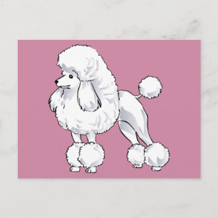 Cartão Postal Poodle