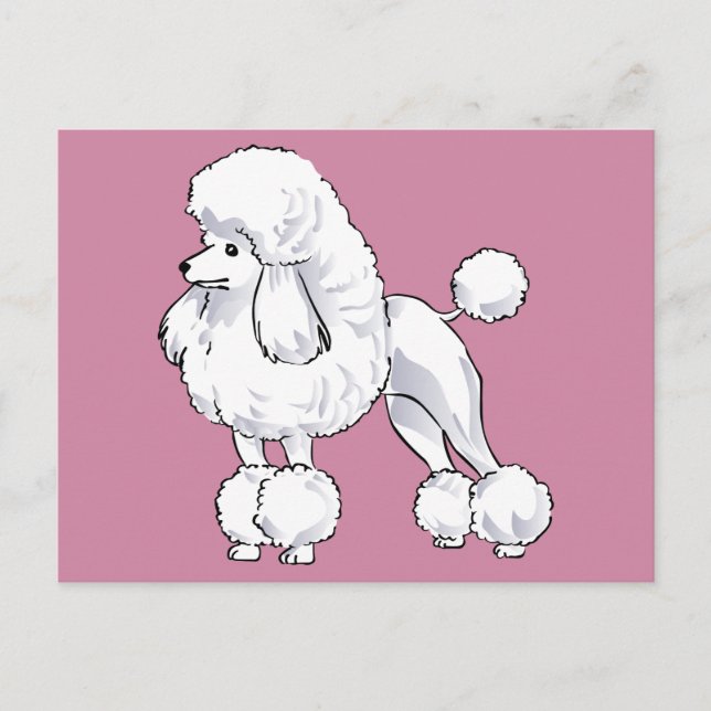 Cartão Postal Poodle (Frente)