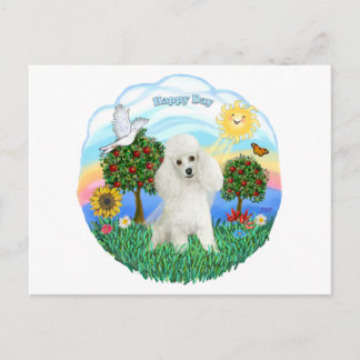 Cartão Postal Poodle (branco #14)
