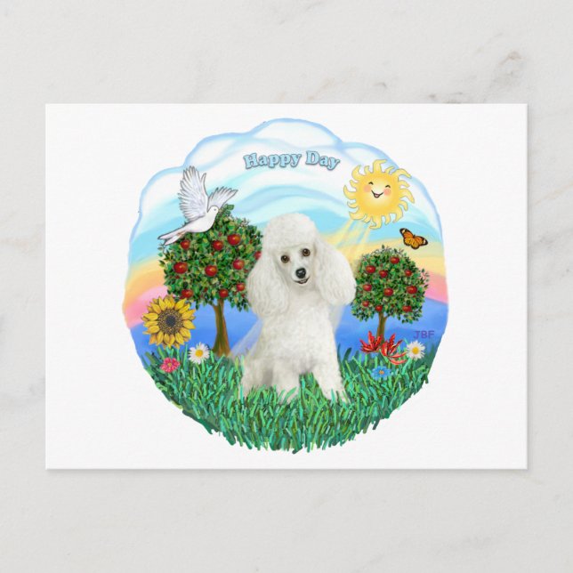 Cartão Postal Poodle (branco #14) (Frente)