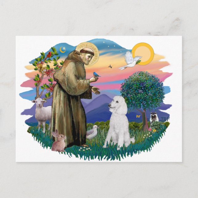 Cartão Postal Poodle (Branco Padrão) (Frente)