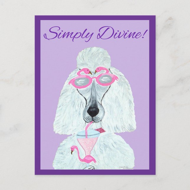 Cartão Postal Poodle com uma Bebida de Flamingo Rosa (Frente)