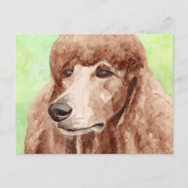 Cartão Postal Poodle de Aquarela (Frente)