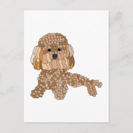 Cartão Postal Poodle Dog 