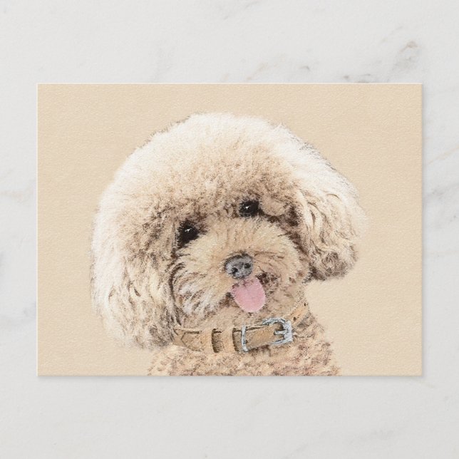Cartão Postal Poodle Miniature Toy Apricot Cream Brown Dog Art (Frente)