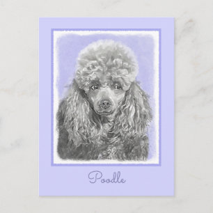 Cartão Postal Poodle Miniature Toy Silver Cinza Blue Dog Art